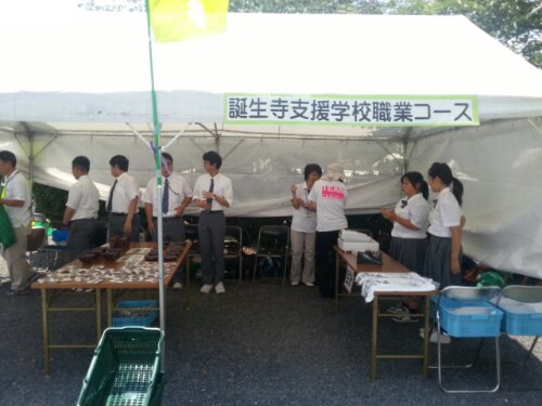 20130629_114529.jpg image
