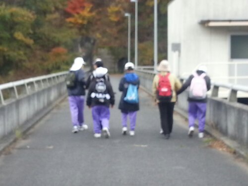 20131121_140120.jpg image
