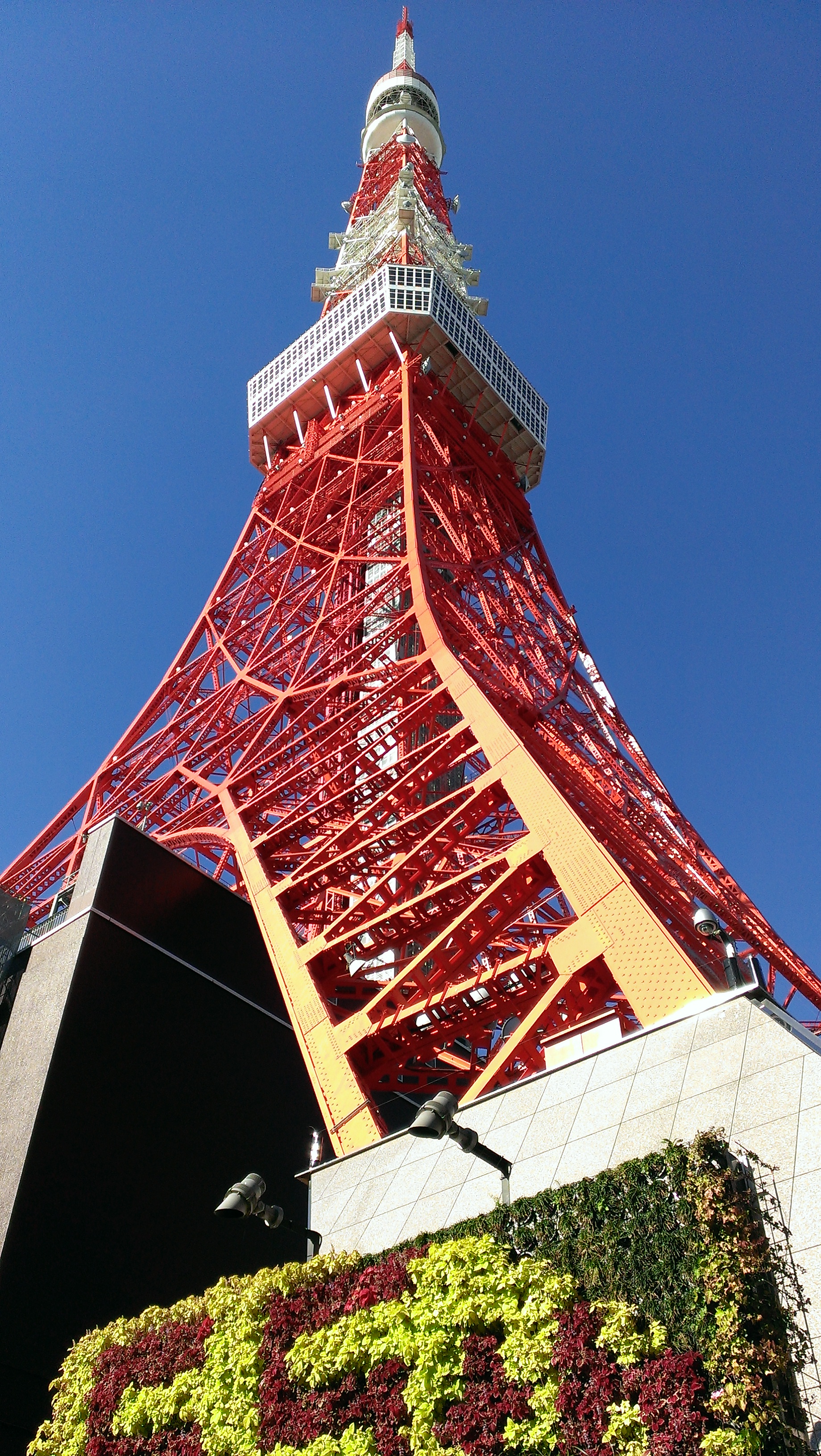 IMAG0101.jpg image
