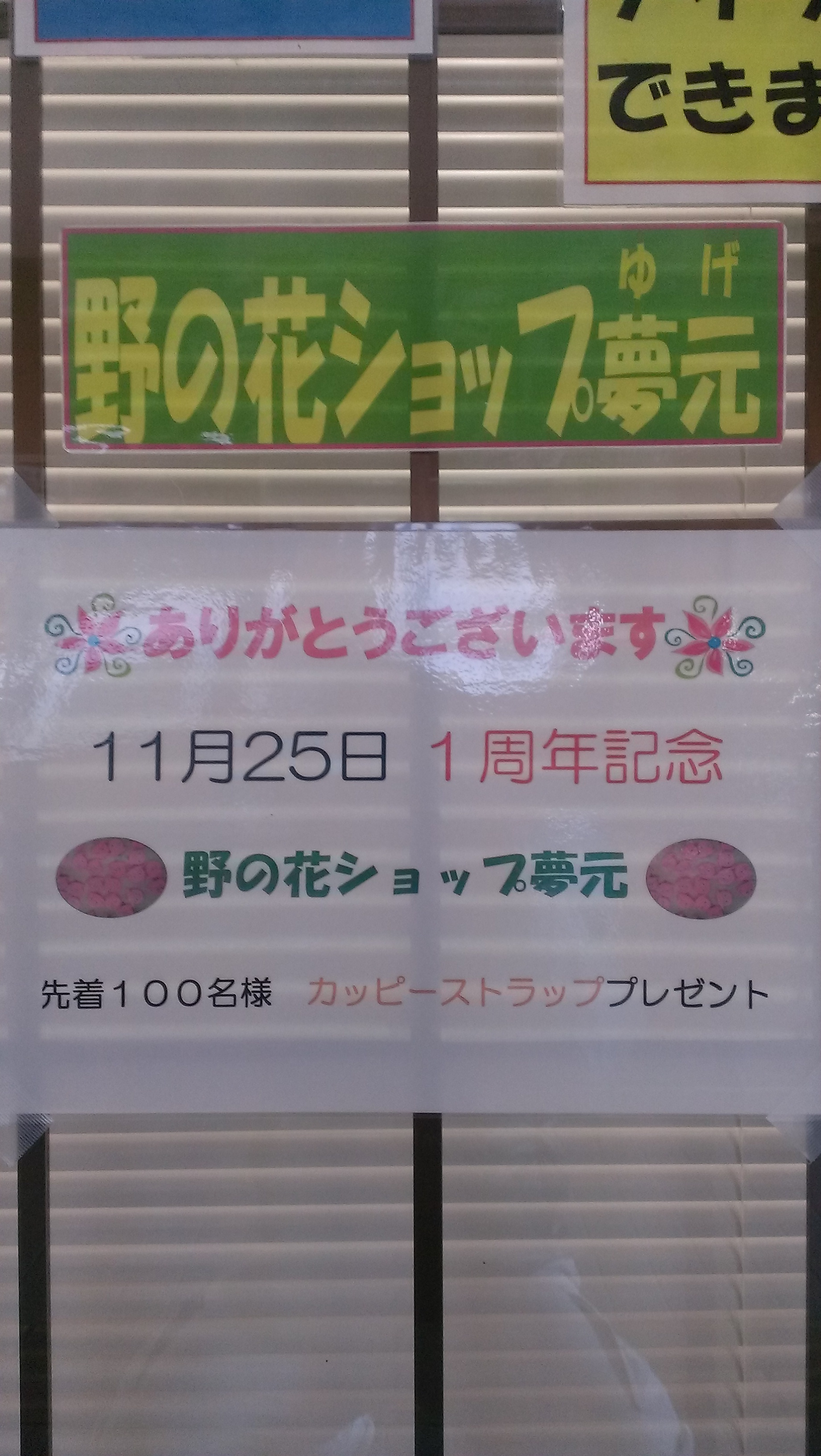 IMAG0126.jpg image