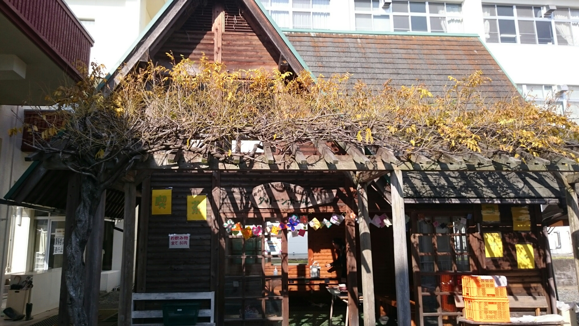 wp-1417147717309 image