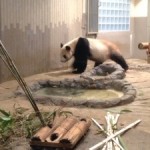 20131113-170644.jpg